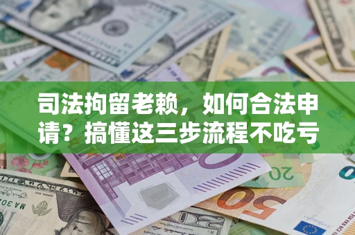 武汉司法拘留老赖，如何合法申请？搞懂这三步流程不吃亏！