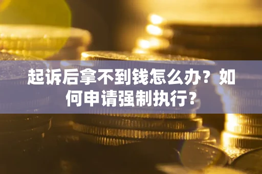 武汉起诉后拿不到钱怎么办？如何申请强制执行？