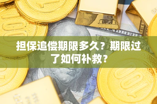 武汉担保追偿期限多久？期限过了如何补救？