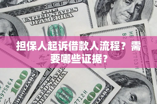 武汉担保人起诉借款人流程？需要哪些证据？