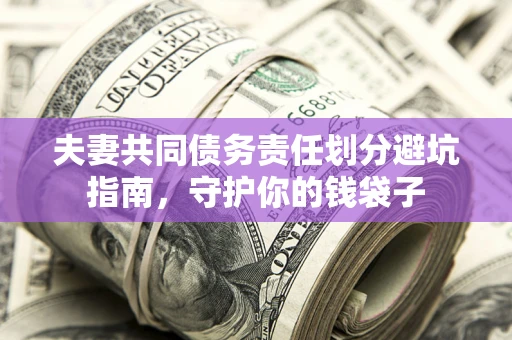 武汉夫妻共同债务责任划分避坑指南，守护你的钱袋子
