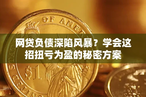 武汉网贷负债深陷风暴？学会这招扭亏为盈的秘密方案