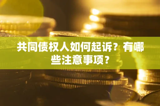 武汉共同债权人如何起诉？有哪些注意事项？